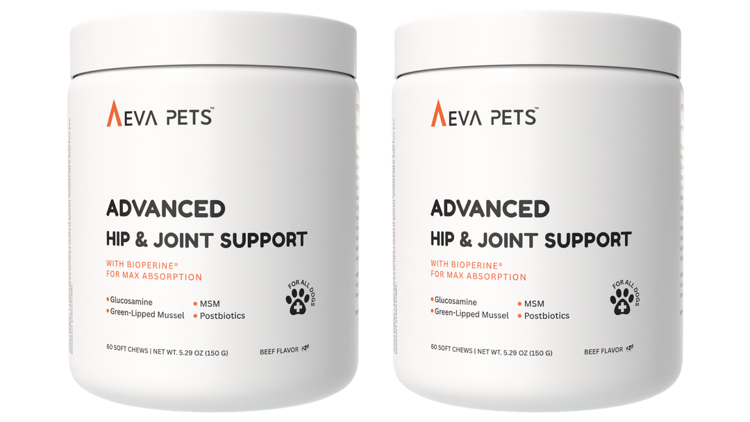 Advanced Hip &amp; Joint Support Soft Chews for Dogs