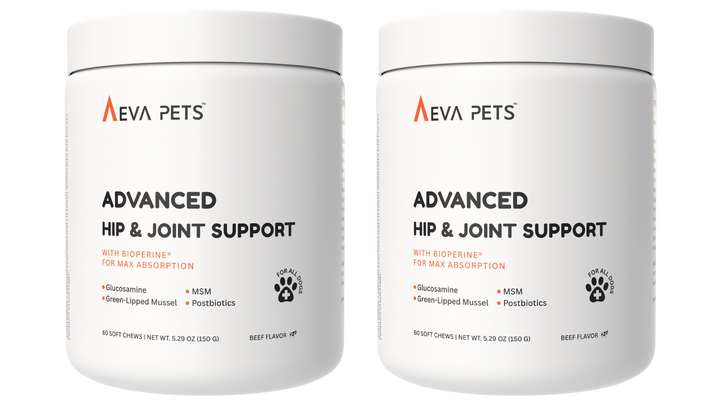Advanced Hip &amp; Joint Support Soft Chews for Dogs
