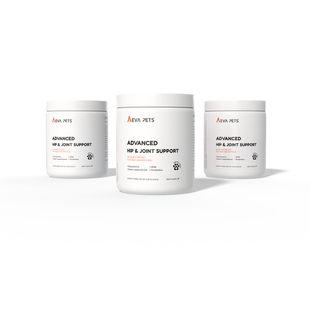 Aeva Pets Advanced Hip &amp; Joint Support Soft Chews - Single Jar